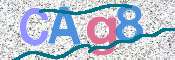 CAPTCHA-Bild